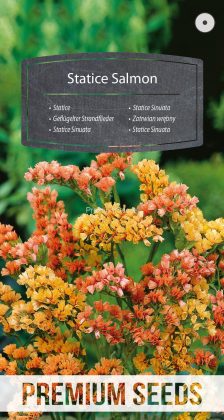 Statice Sinuata Saumon - semences