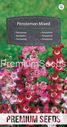 Penstemon Variado - semillas