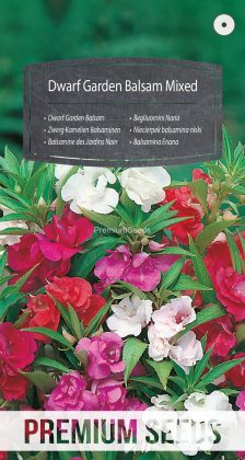 Balsamina Enana Variada - semillas