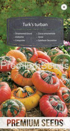 Zucca ornamentale Turbante Turco - semi