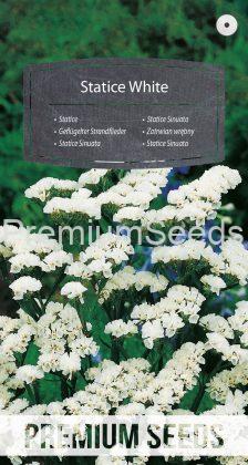 Statice Sinuata Blanc - semences