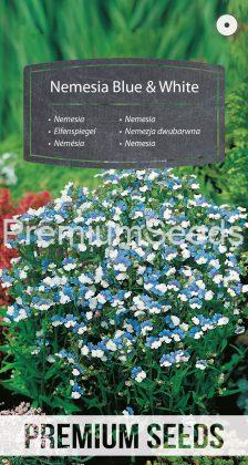 Nemesia Azul y Blanca - semillas
