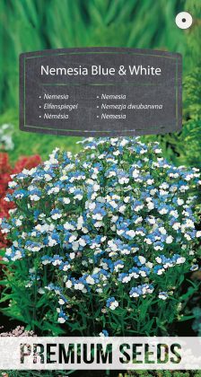 Nemesia Azul y Blanca - semillas