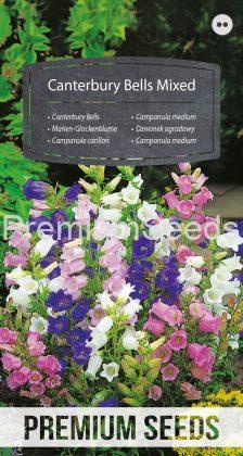 Campanula medium Miscuglio - semi