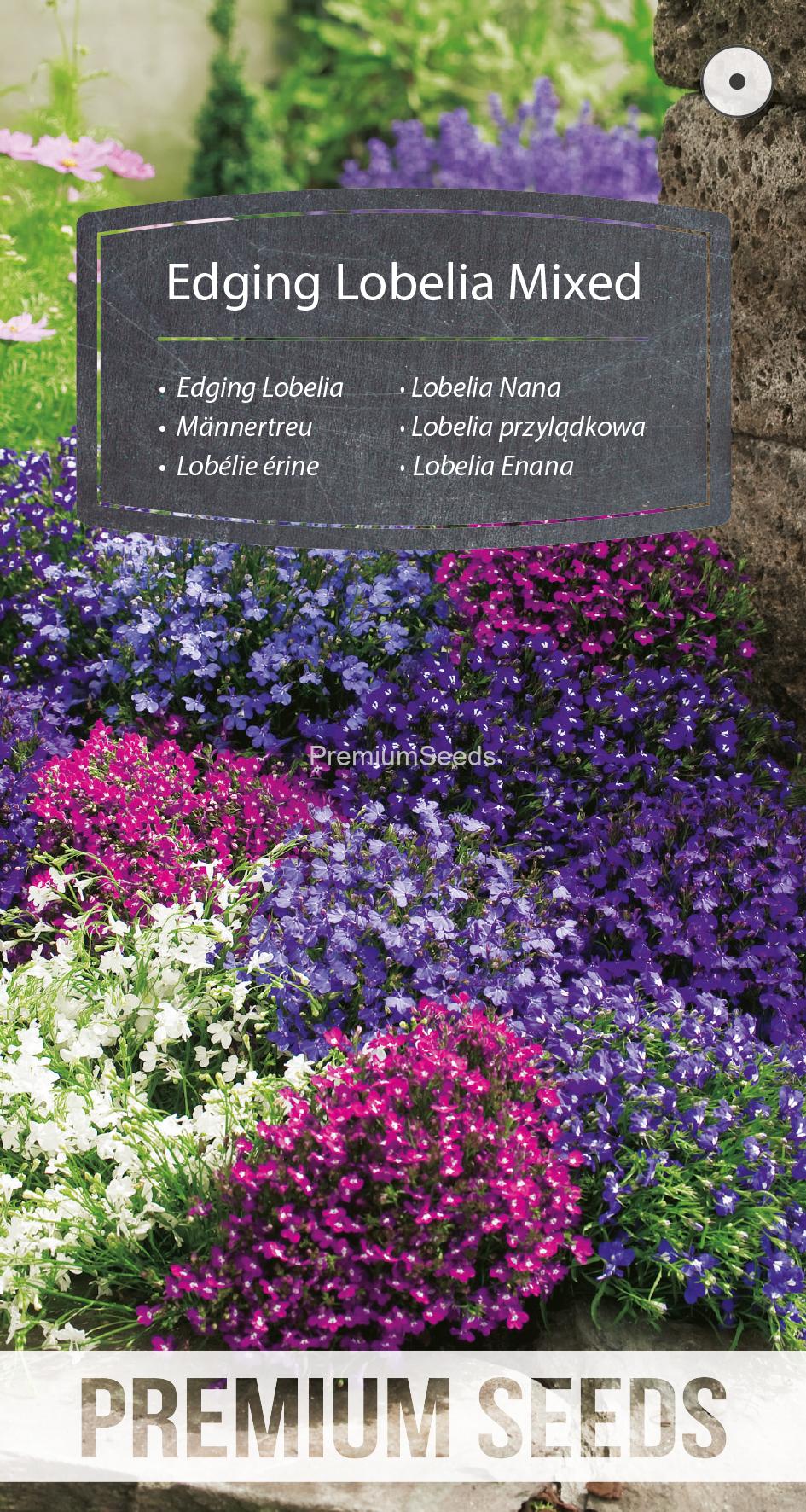 WORLD 14132140PA.indd Lobelia Nana Miscuglio - semi