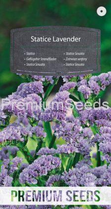 Statice Sinuata Lavanda - semi