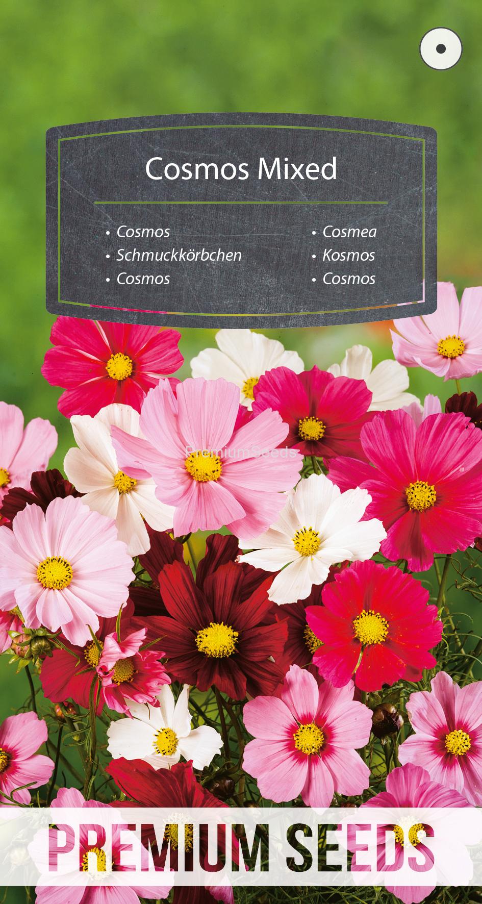 WORLD 14205955PA.indd Cosmos Variada - semillas