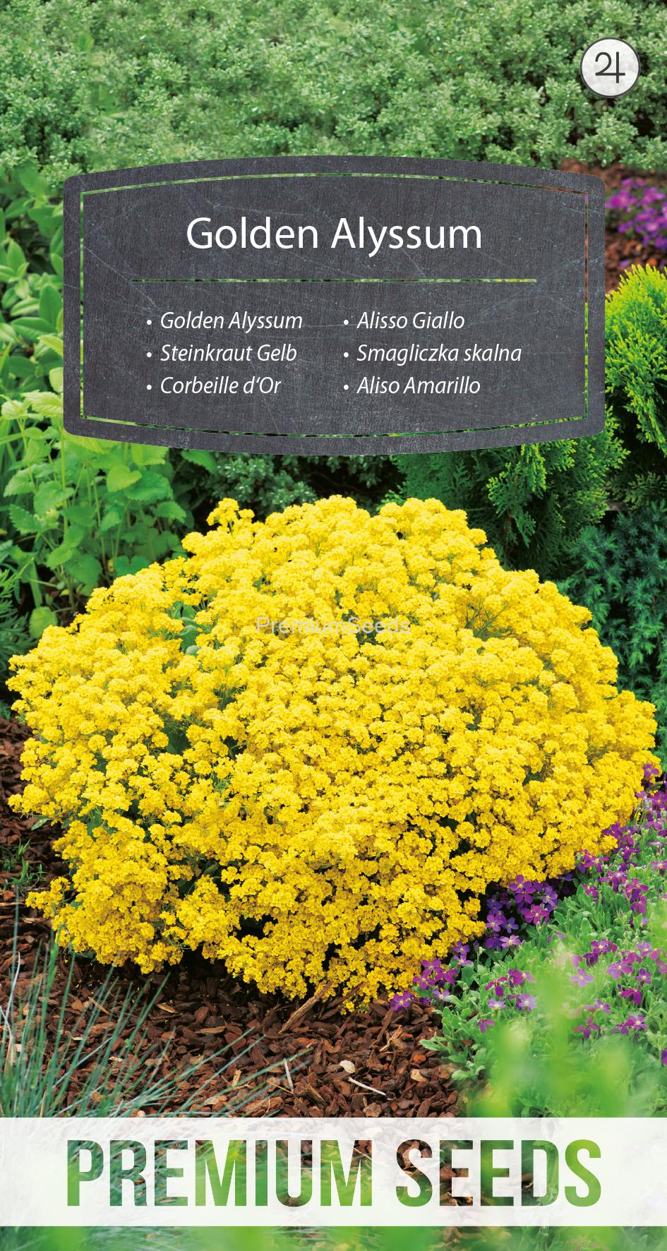 WORLD 14246971PA.indd Alisso Giallo - semi