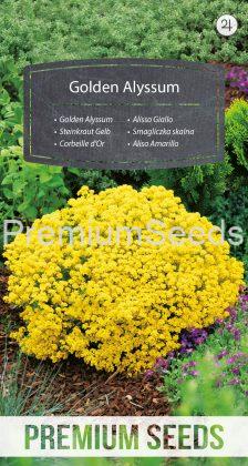 Aliso Amarillo - semillas