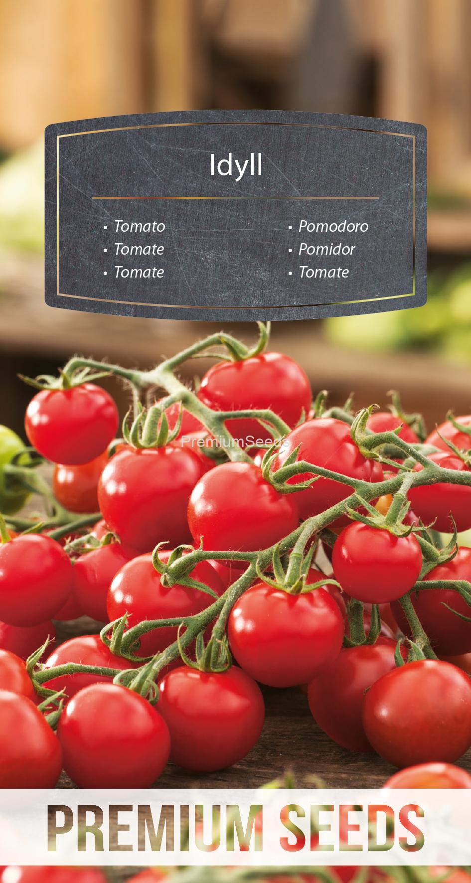 WORLD 14292515PA.indd Tomate Idyll - semillas