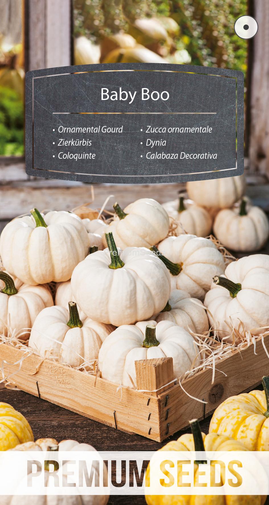 WORLD 14294990PA.indd Calabaza Decorativa Baby Boo - semillas