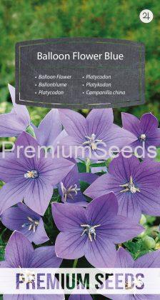 Platycodon Bleu - semences