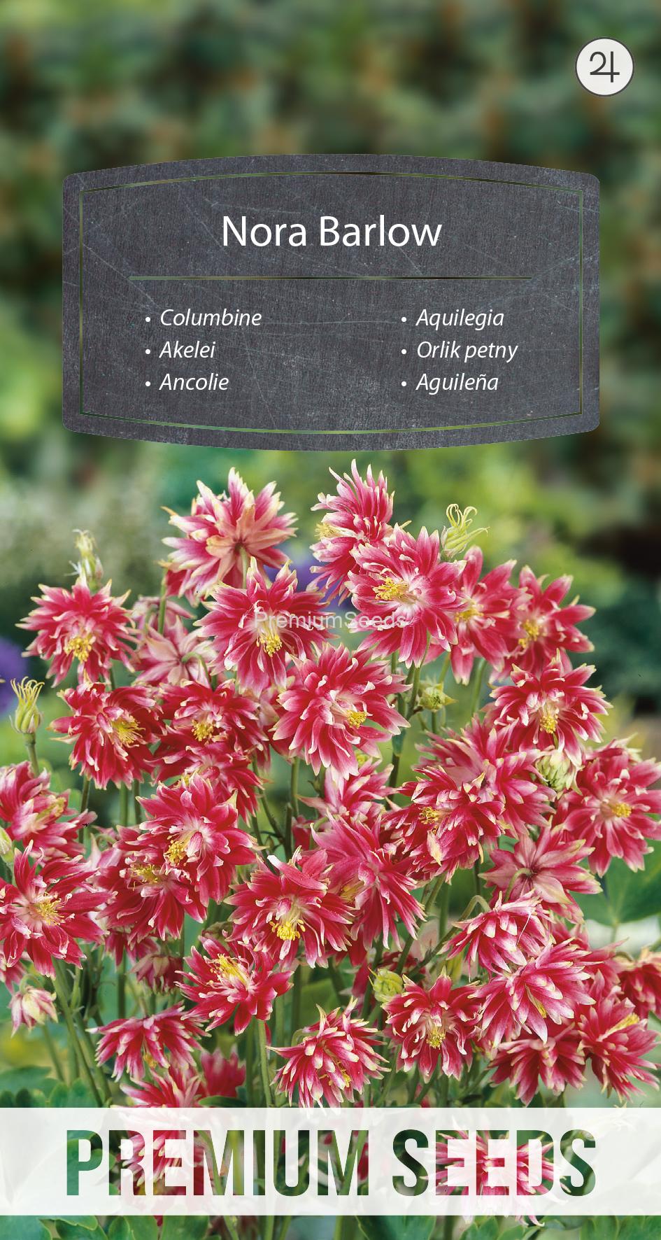 WORLD N 090 7199.indd Aquilegia Nora Barlow - semi