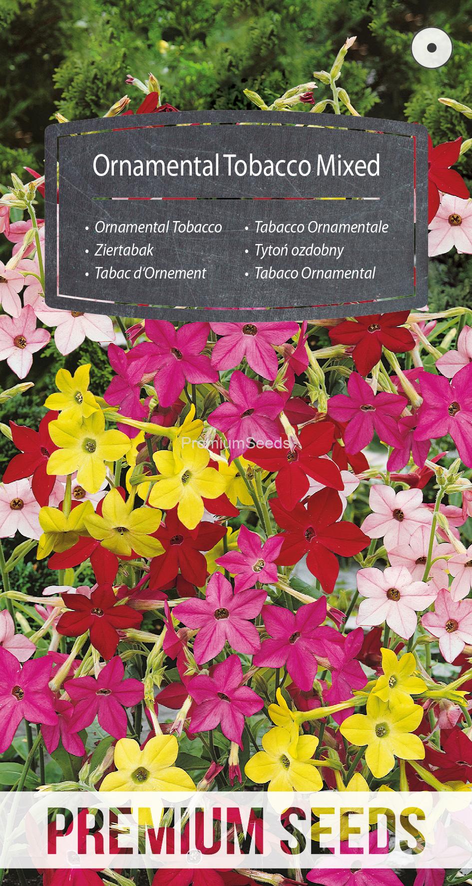 WORLD N 150 7980.indd Tabacco Ornamentale Miscuglio - semi