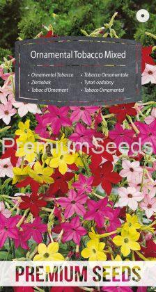 Tabaco Ornamental Variado - semillas