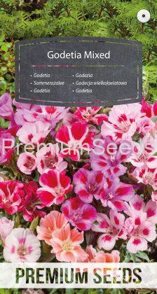 Godetia Variada - semillas