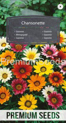 Gazania Chansonette Miscuglio - semi