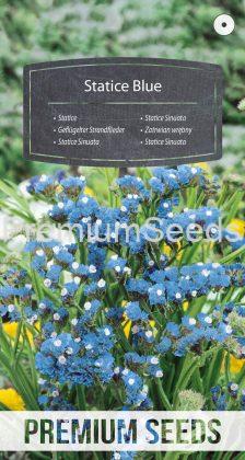 Statice Sinuata Blu - semi