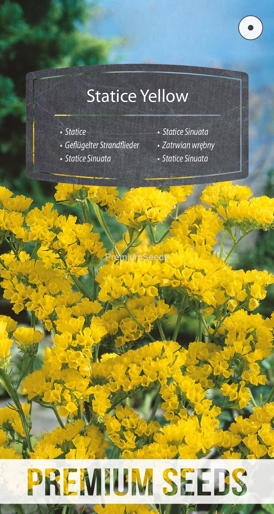 WORLD N 91 91 08.indd Statice Sinuata Giallo - semi