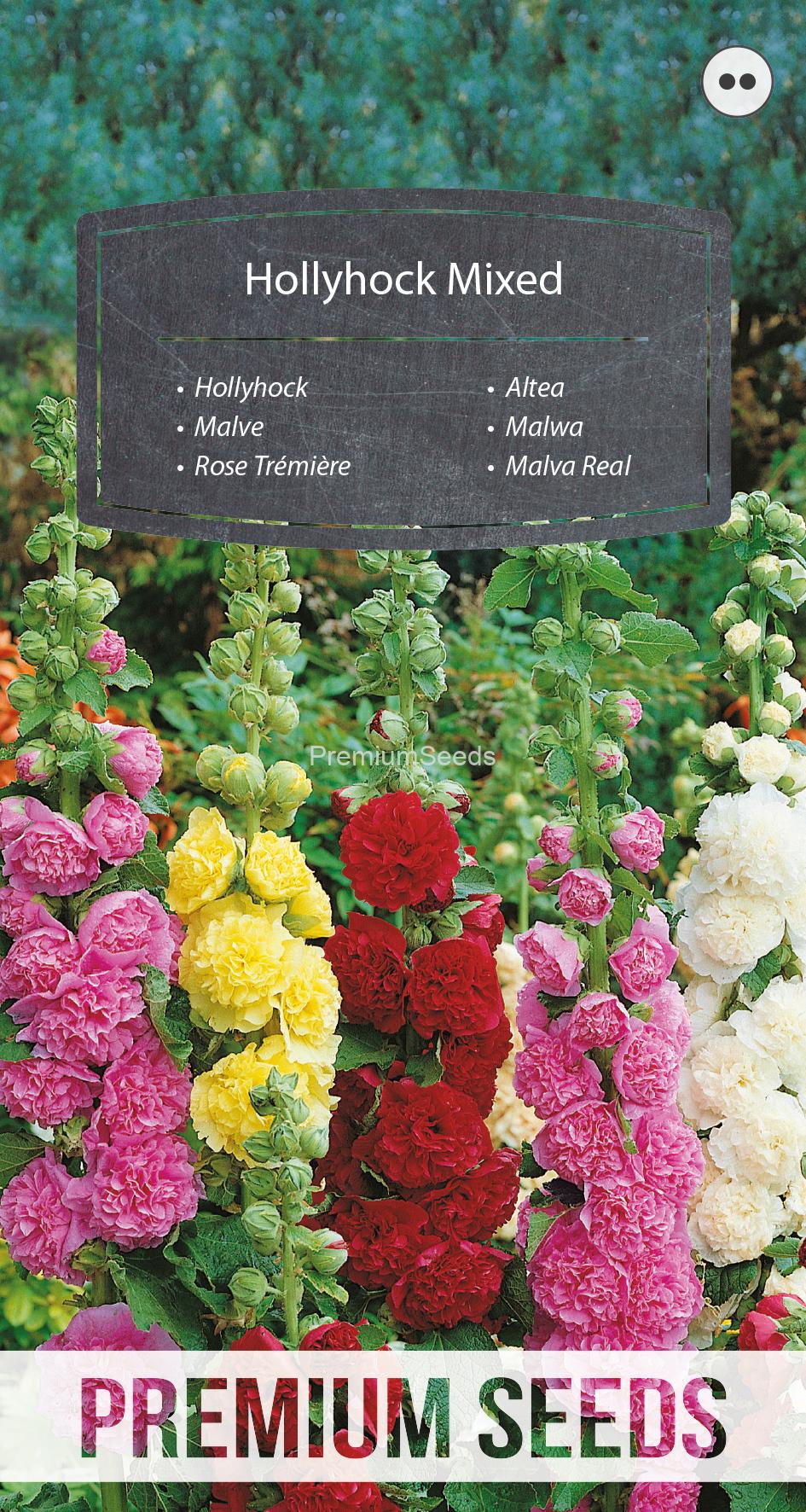 WORLD N G 450 0266.indd Rose Trémière Mélange - semences