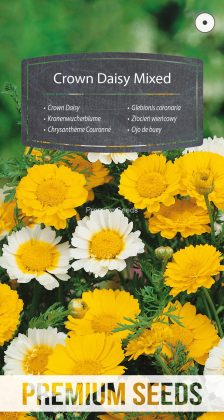 Chrysanthème Couronné Mélange - semences