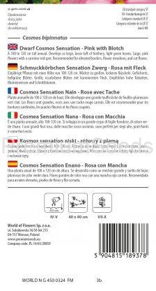 Dwarf Cosmos Sensation - Pink with Blotch - seeds