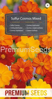 Sulfur Cosmos Mixed - seeds