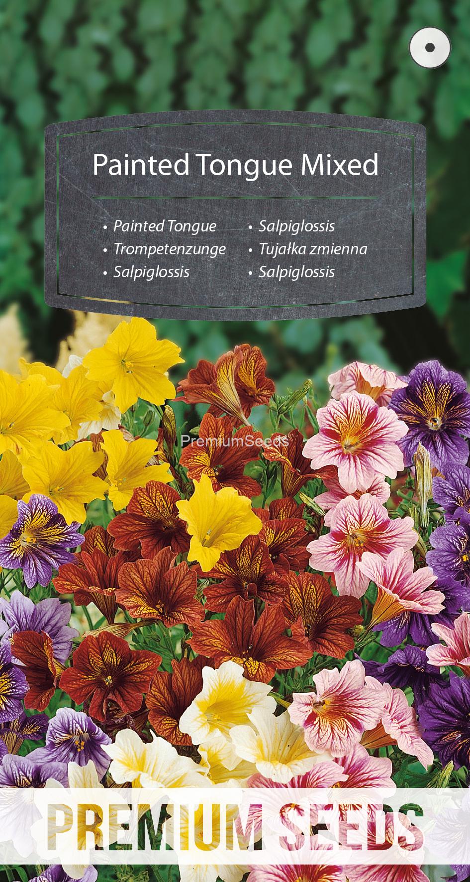 WORLD N G 450 0454.indd Salpiglossis Variada - semillas
