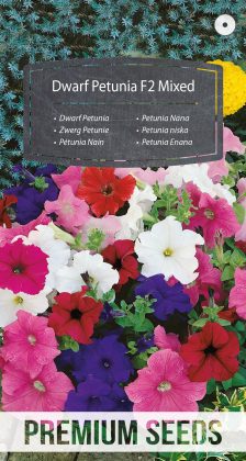 Petunia Enana Variada - semillas