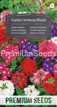 Verbena da giardino Miscuglio - semi