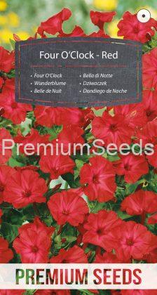 Four O'Clock - Red - seeds