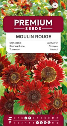 Sunflower Moulin Rouge – seeds