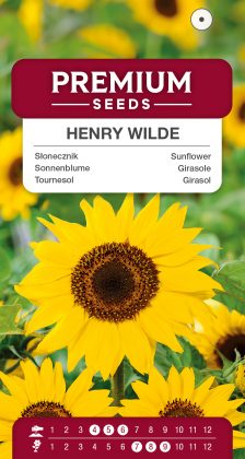 Sunflower Henry Wilde – seeds