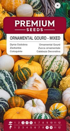 Ornamental Gourd – Mixed – seeds