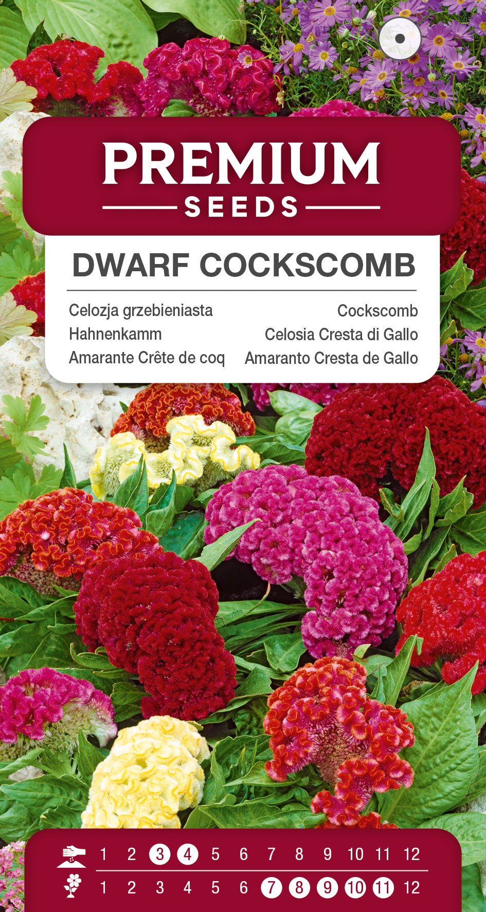 SWIA-WO-BL-12059_VS Dwarf Cockscomb – seeds
