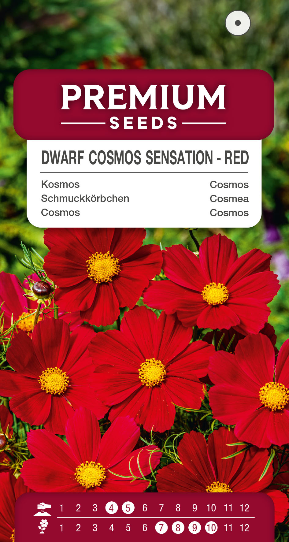 SWIA-WO-BL-12061_VS Dwarf Cosmos Sensation – Red – seeds