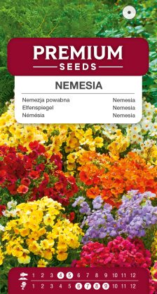 Nemesia – mixed – seeds