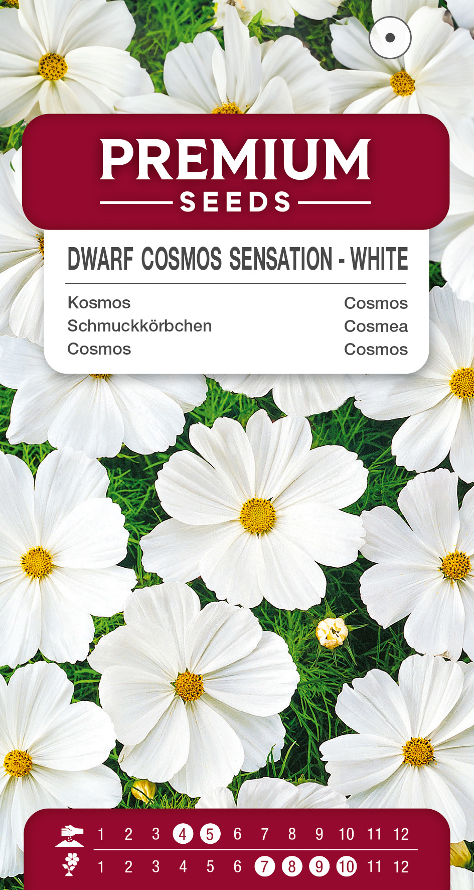 SWIA-WO-BL-12091_VS Dwarf Cosmos Sensation – White – seeds