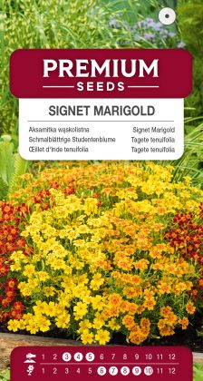 Signet Marigold – Mixed- seeds