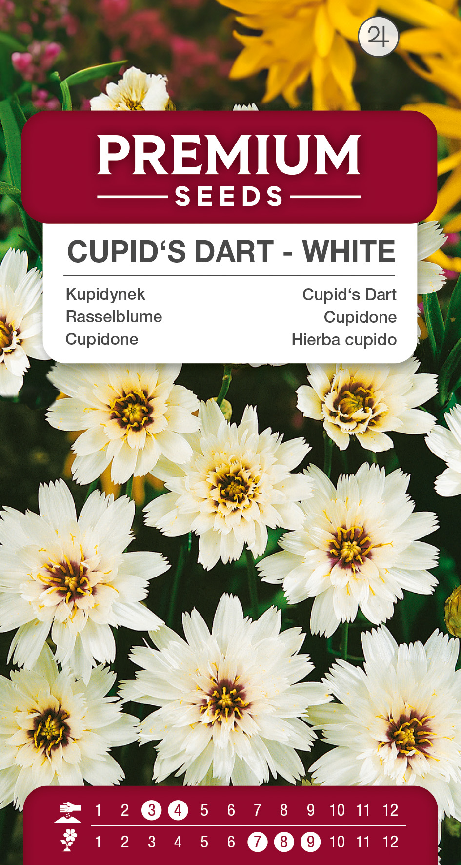SWIA-WO-BL-12125_VS Cupid’s Dart – White – seeds