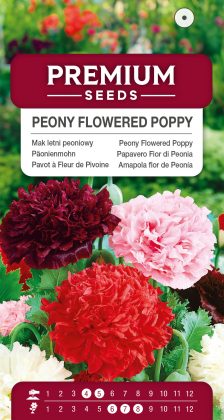 Peony Flowered Poppy – Mixed – seeds