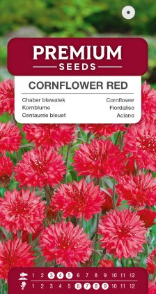 Cornflower red – seeds