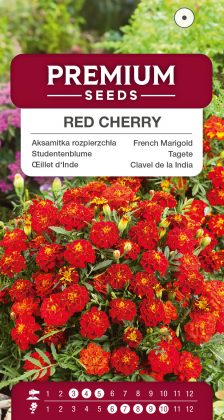 Dwarf French Marigold Red Cherry – seeds