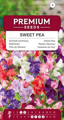 Sweet Pea – Mixed – seeds