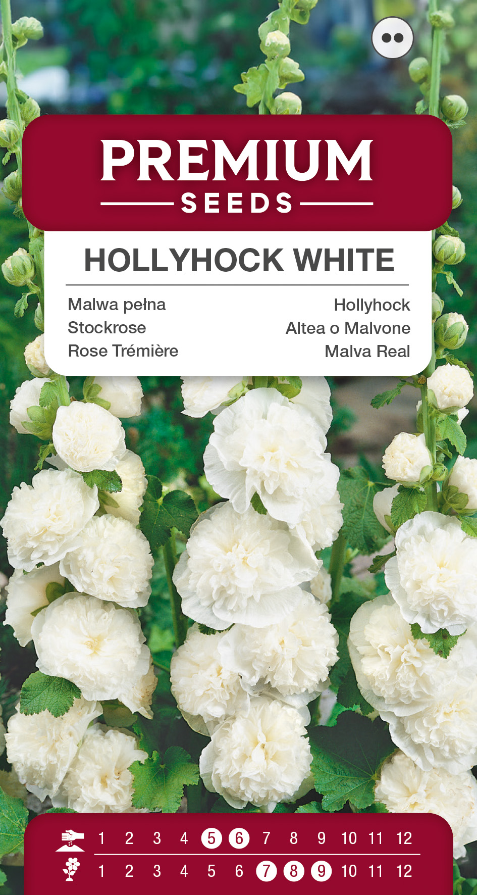 SWIA-WO-BL-12206_VS Hollyhock – White – seeds