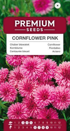 Cornflower pink – seeds