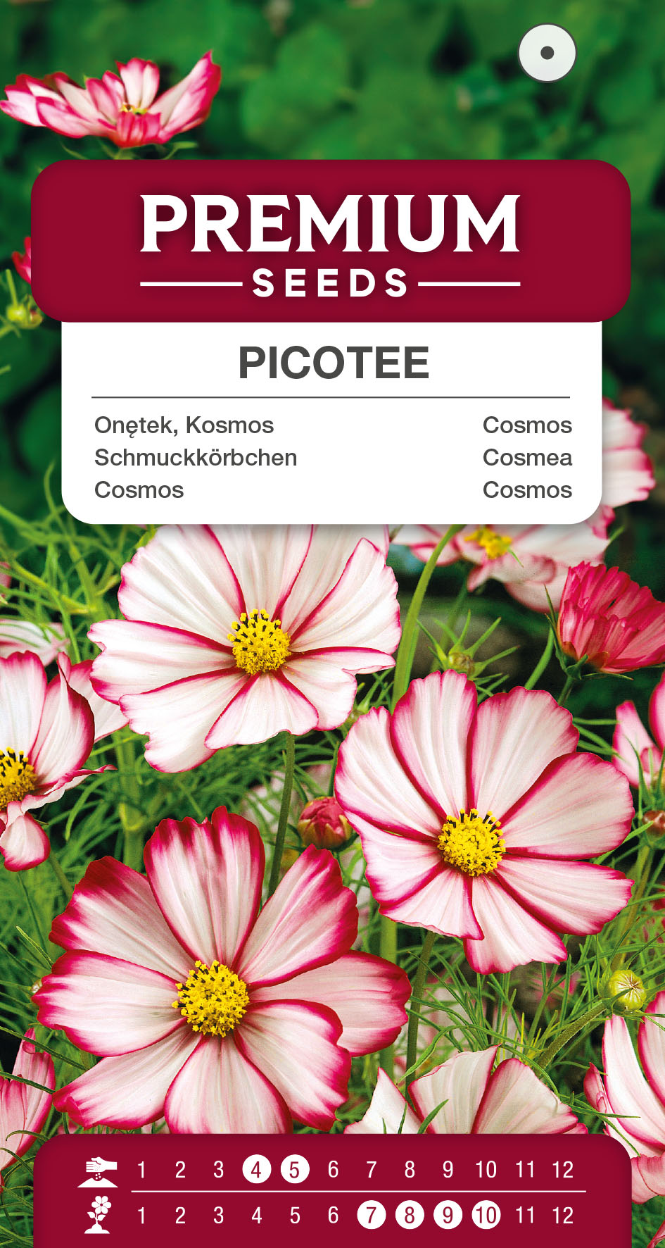 SWIA-WO-BL-12222_VS Cosmos Picotee – seeds