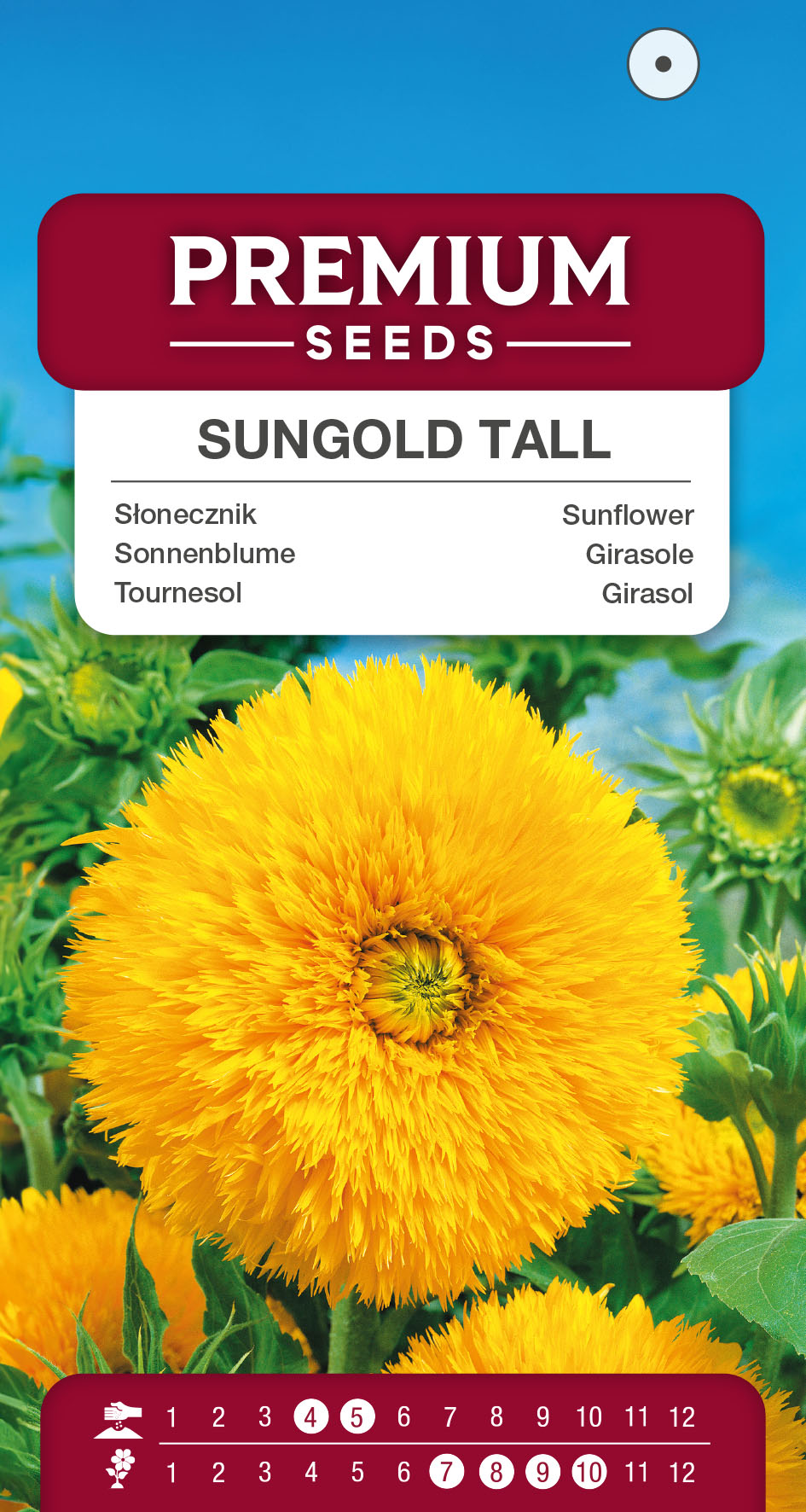 SWIA-WO-BL-12228_VS Sunflower Sungold Tall – seeds