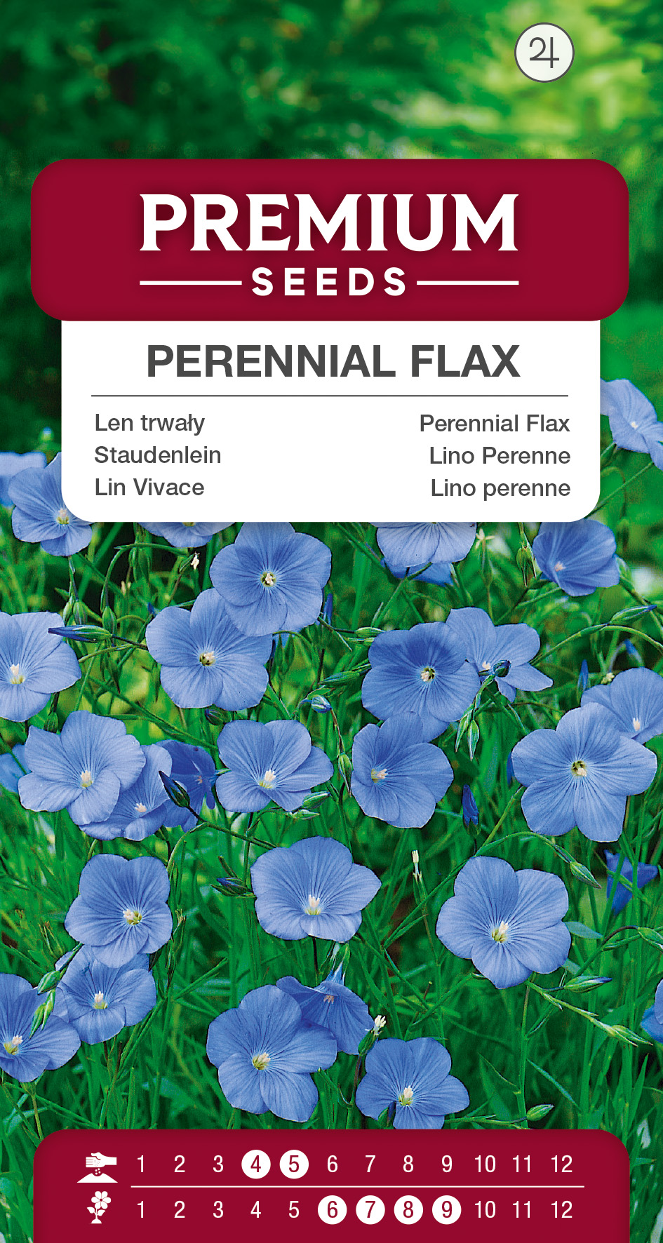 SWIA-WO-BL-12234_VS Perennial Flax – seeds
