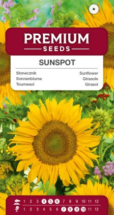 Sunflower – Sunspot – seeds
